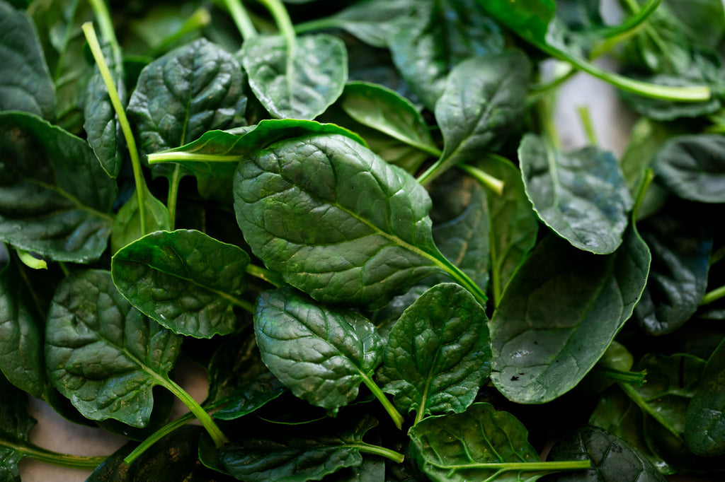 Girl, Dug, Farm, Dog, Girl & Dug, Girl n Dug, San Diego, California, Specialty, Produce, Smell, Flavor, Aroma, Eye candy, Fresh, Kindergreens, Greens, Spinach, Korean, Nutty, Savory