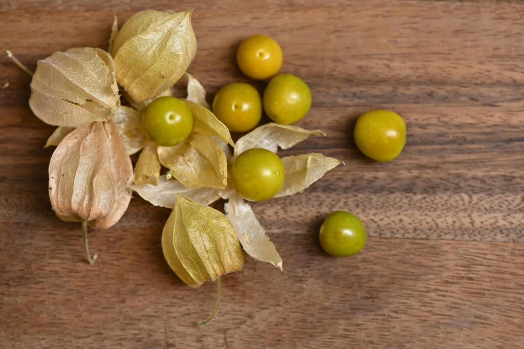 Girl, Dug, Farm, Girl & Dug, Girl n Dug, San Diego, California, Specialty, Produce, Berry, Fruity, Tropical, Mango, Pineapple, Tomato, Tart, Sweet, Nightshade, Husk, Ground Cherry, Peruvian, Giant, Pichuberry, Gooseberry