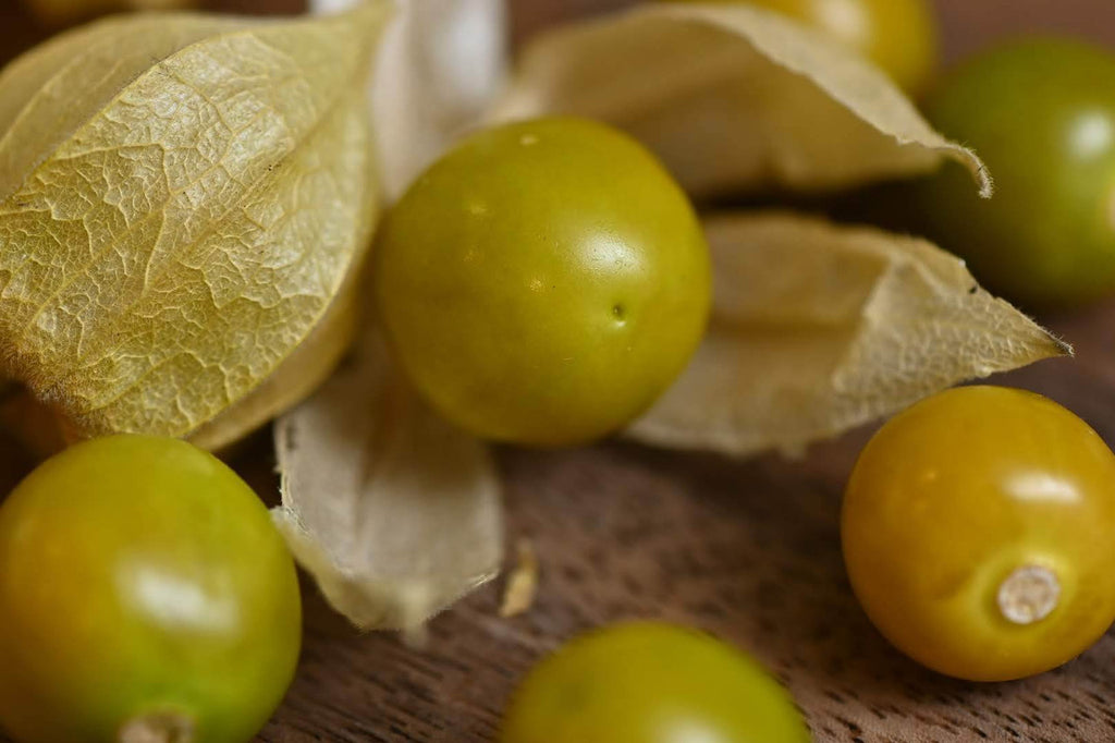 Girl, Dug, Farm, Girl & Dug, Girl n Dug, San Diego, California, Specialty, Produce, Berry, Fruity, Tropical, Mango, Pineapple, Tomato, Tart, Sweet, Nightshade, Husk, Ground Cherry, Peruvian, Giant, Pichuberry, Gooseberry
