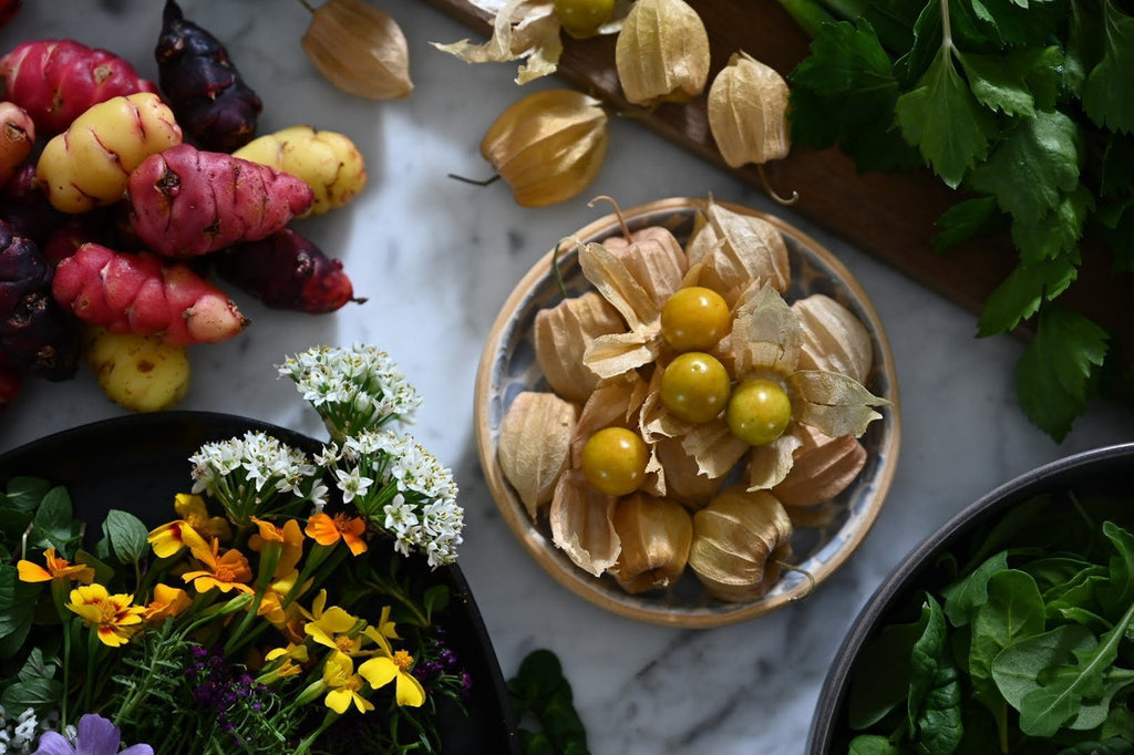 Girl, Dug, Farm, Girl & Dug, Girl n Dug, San Diego, California, Specialty, Produce, Berry, Fruity, Tropical, Mango, Pineapple, Tomato, Tart, Sweet, Nightshade, Husk, Ground Cherry, Peruvian, Giant, Pichuberry, Gooseberry