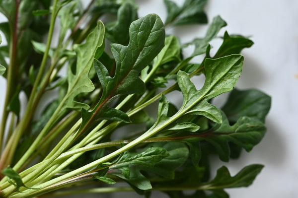 Girl, Dug, Farm, Dog, Girl & Dug, Girl n Dug, San Diego, California, Specialty, Produce, Smell, Flavor, Aroma, Eye candy, Fresh, Spinach, Greens, Red, Snapper, Earthy, Nutty, Crunchy, Snap, Earthy, Fern