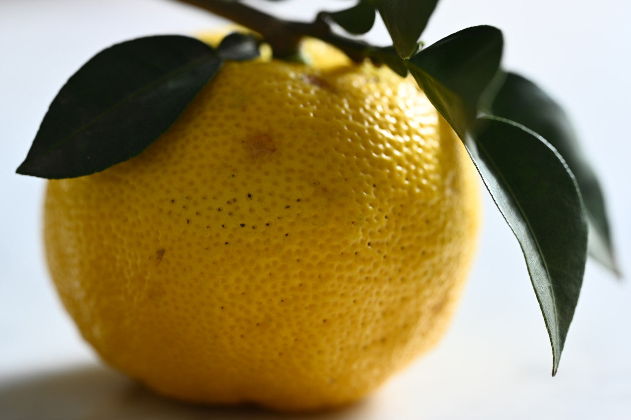 Yuzu – Girl & Dug Farm