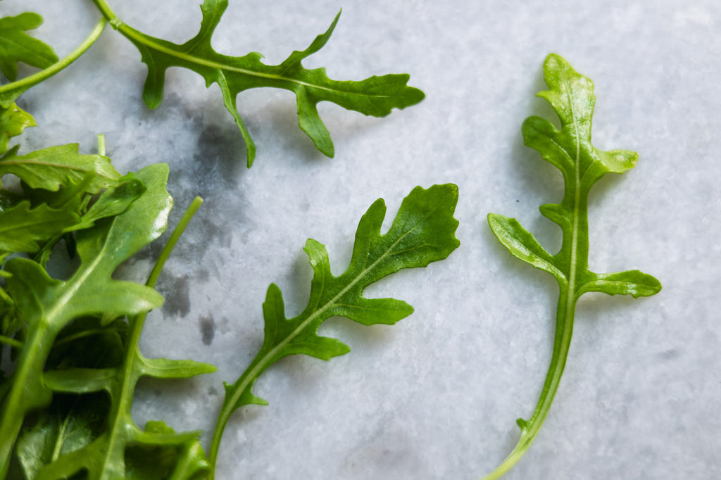 Girl, Dug, Farm, Dog, Girl & Dug, Girl n Dug, San Diego, California, Specialty, Produce, Smell, Flavor, Aroma, Eye candy, Fresh, Kindergreens, Greens, Leaf, Arugula, Sylvetta, Rocket, Wild, Peppery, Spicy