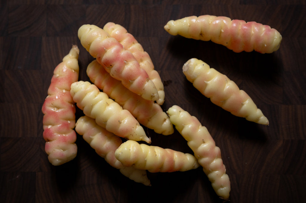 Girl, Dug, Farm, Girl & Dug, Girl n Dug, San Diego, California, Specialty, Produce, Smell, Flavor, Eye candy, Veggies, Root, Oca, Tuber, Oxalis, Potato, Sour, Cream, Peru, Peruvian, White, Ivory, Milk, Albino