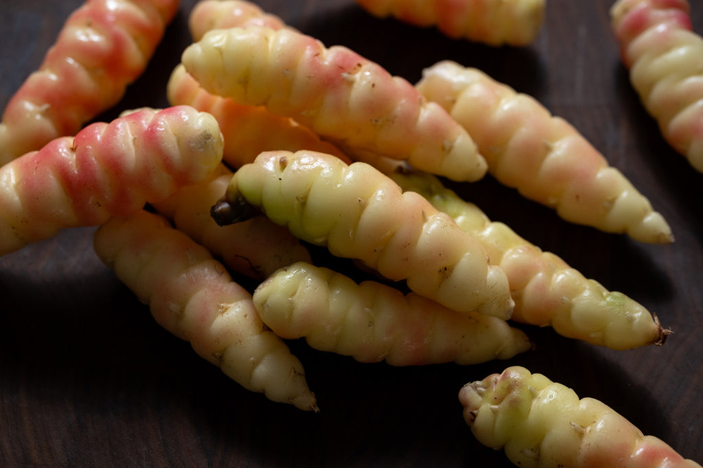 Girl, Dug, Farm, Girl & Dug, Girl n Dug, San Diego, California, Specialty, Produce, Smell, Flavor, Eye candy, Veggies, Root, Oca, Tuber, Oxalis, Potato, Sour, Cream, Peru, Peruvian, White, Ivory, Milk, Albino