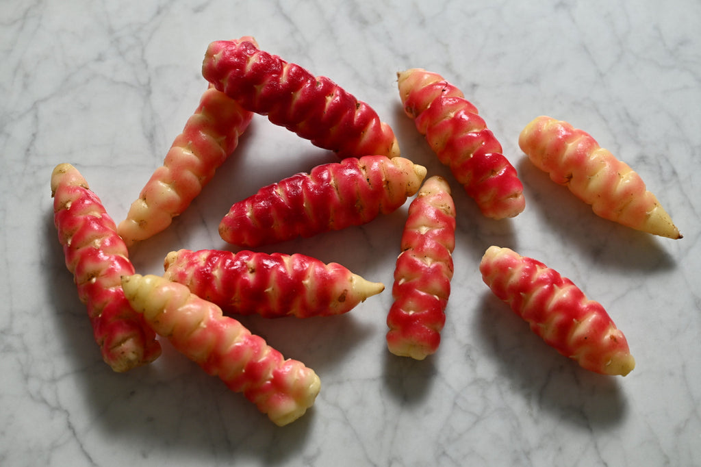 Girl, Dug, Farm, Girl & Dug, Girl n Dug, San Diego, California, Specialty, Produce, Smell, Flavor, Eye candy, Veggies, Root, Oca, Tuber, Oxalis, Potato, Sour, Cream, Peru, Peruvian