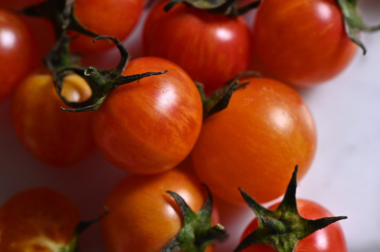 Firebird Tomato – Girl & Dug Farm